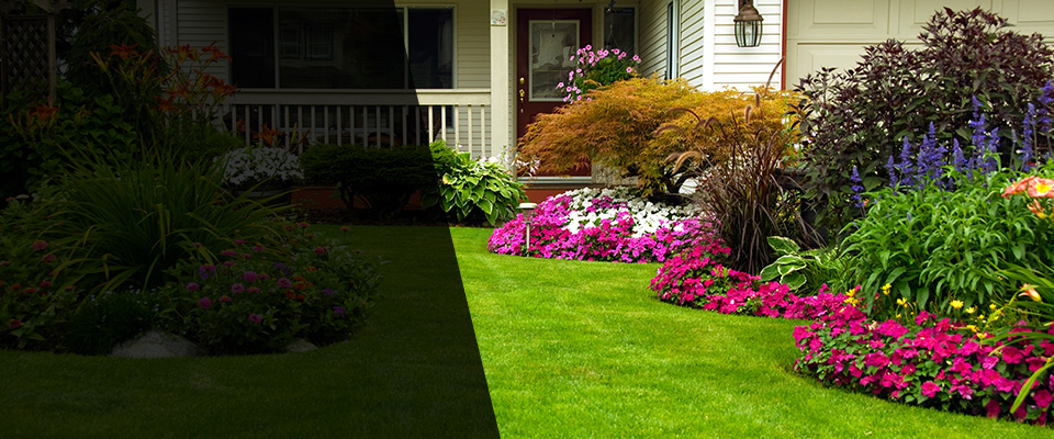 Seal Beach Landscapers