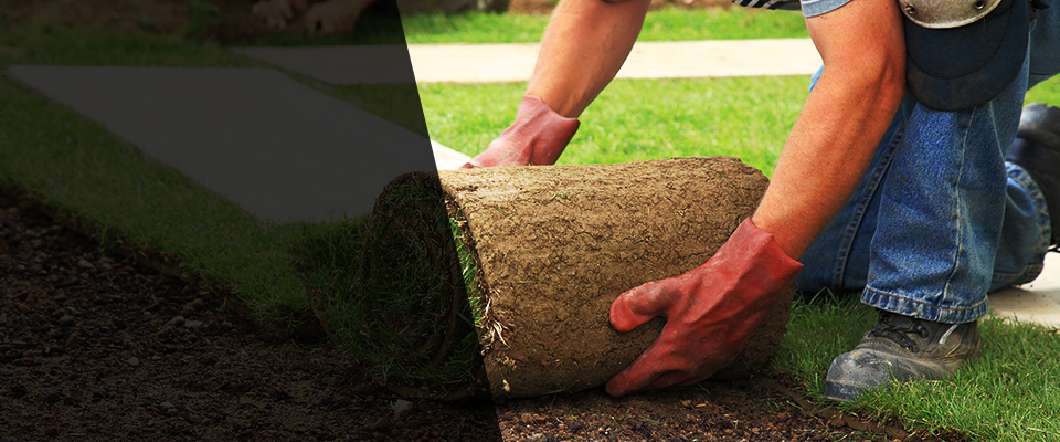 Seal Beach Landscapers